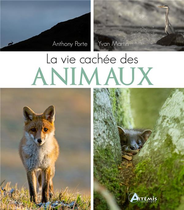 La vie cachée des animaux sauvages