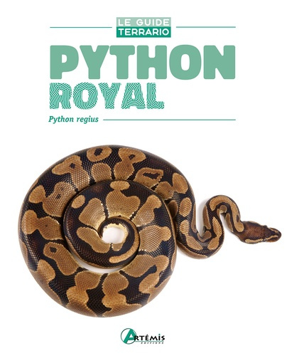 Python royal