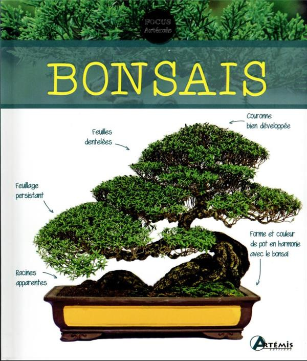 Bonsaïs