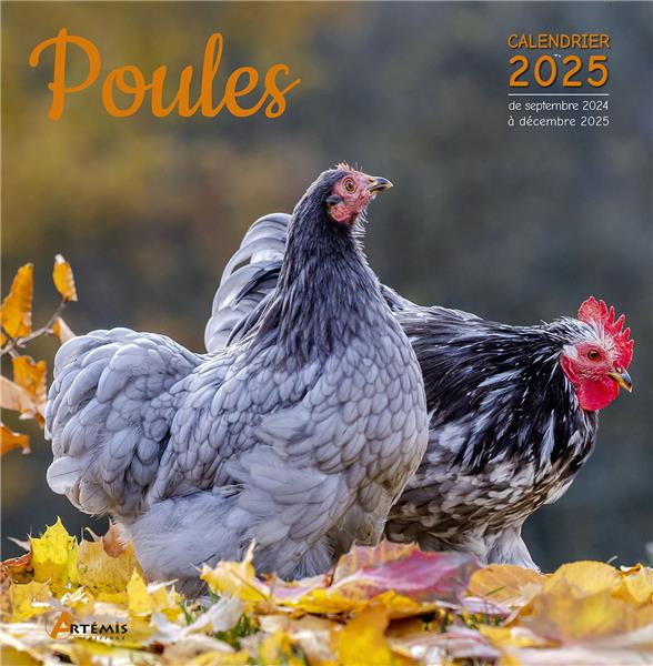 Poules. Calendrier de septembre 2024 à décembre 2025, Edition 2025