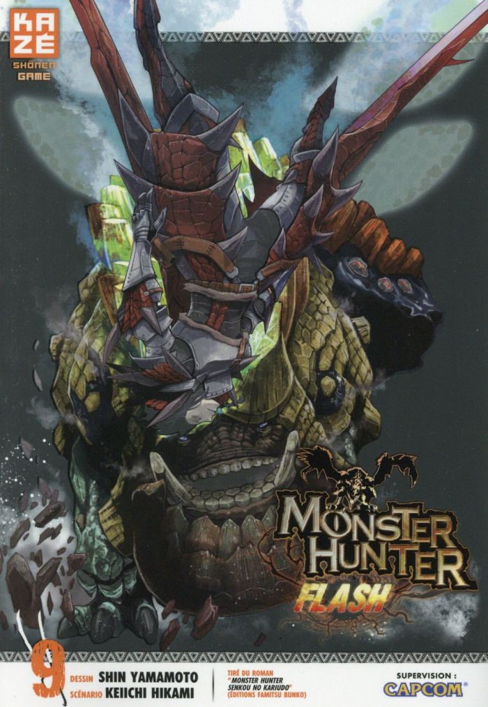 Monster Hunter Flash Tome 9