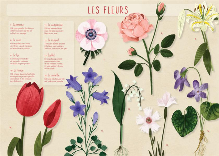 LES POSTERS DE L'ECOLE : LES FLEURS