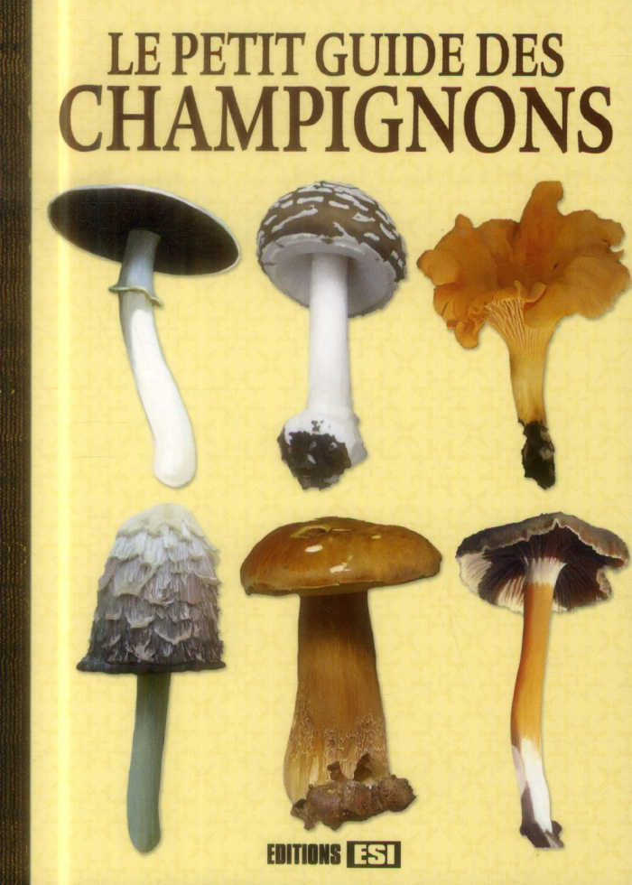 Le petit guide des champignons