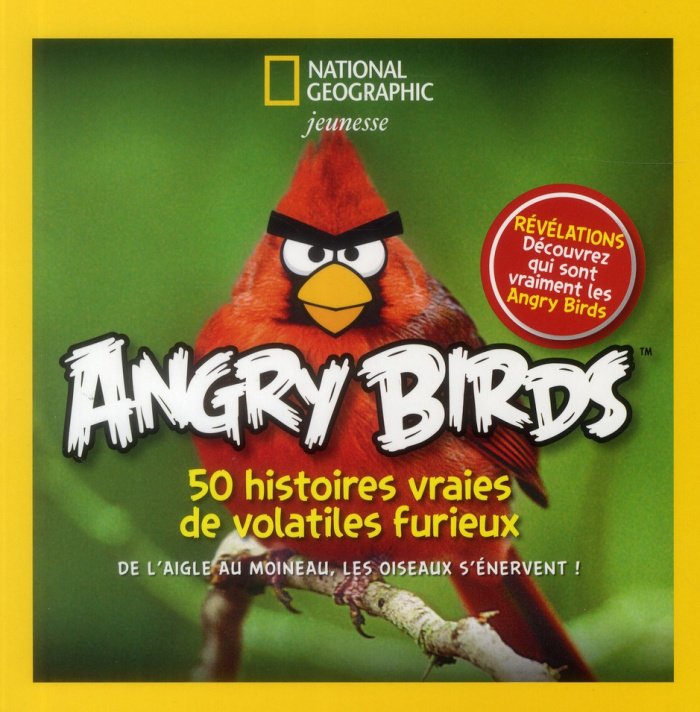 Angry Birds, 50 histoires vraies de volatiles furieux. De l'aigle au moineau, les oiseaux s'énervent