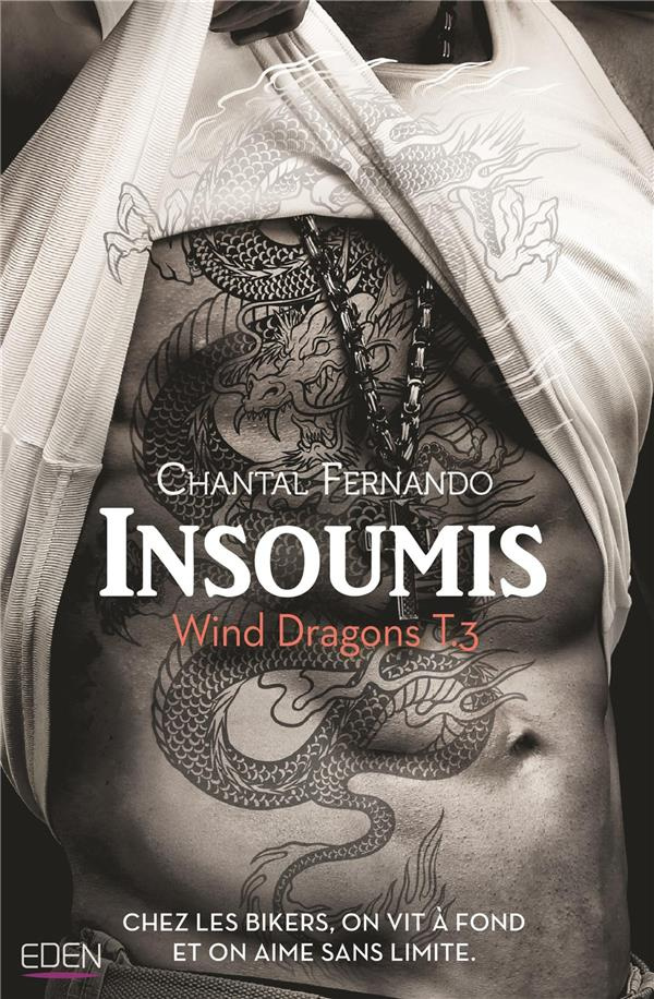 Wind Dragons Tome 3 : Insoumis