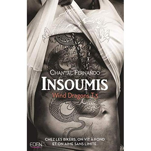 Wind Dragons Tome 3 : Insoumis