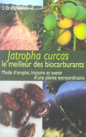 Jatropha Curcas le meilleur des biocarburants. Mode d'emploi, histoire et devenir d'une plante extra