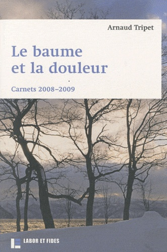 Le baume et la douleur. Carnets 2008-2009