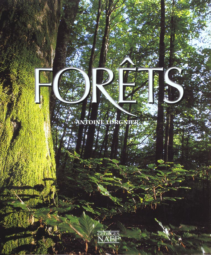 Forêts