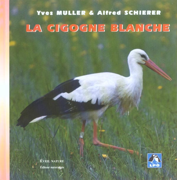 La cigogne blanche
