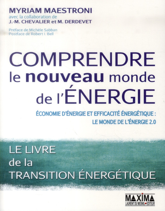 Comprendre le nouveau monde de l'énergie. Economie d'énergie et efficacité énergétique : le monde de