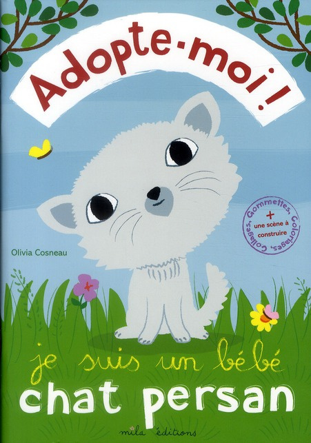 Je suis un bébé chat persan