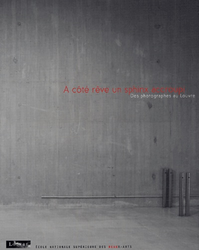A côté rêve un sphinx accroupi. Des photographes au Louvre