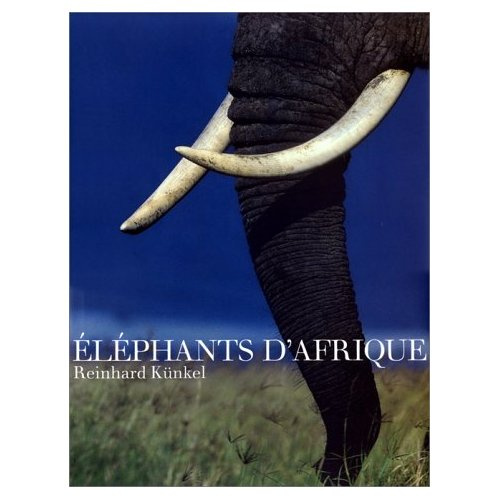Éléphants d'Afrique
