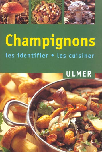 Champignons : les identifier, les cuisiner