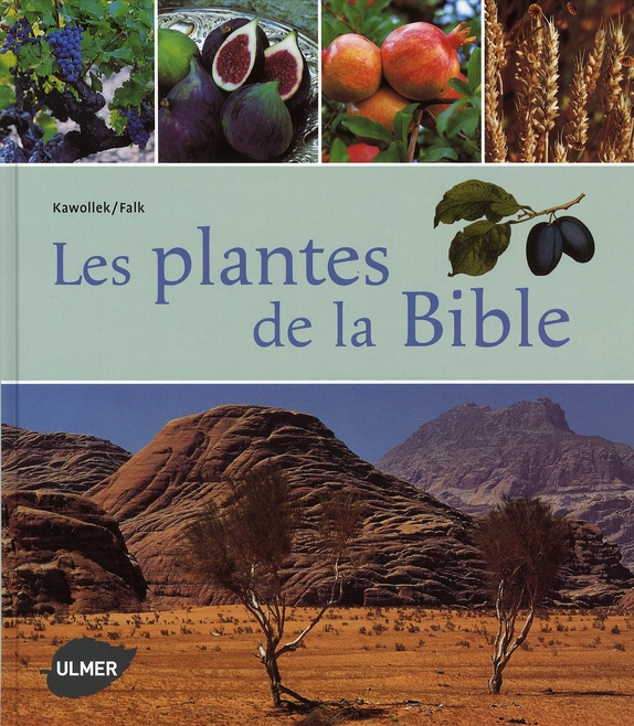 Les plantes de la Bible