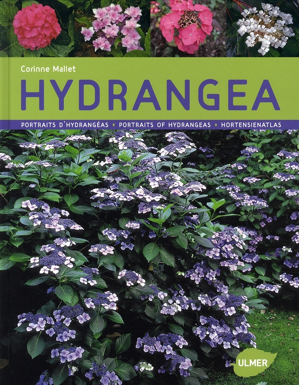 Hydrangéa. Portraits d'hydrangéas, édition français-anglais-allemand