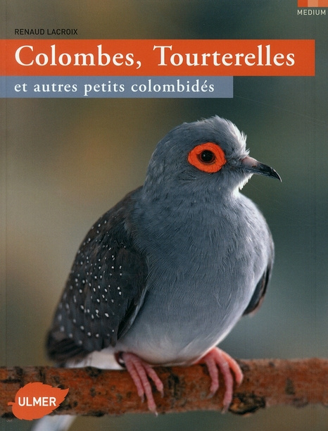 Colombes, Tourterelles. Et autres petits colombidés