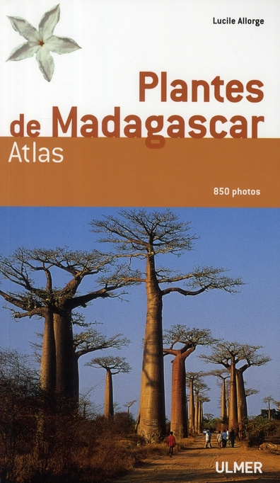 Plantes de Madagascar. Atlas, avec 1 CD-ROM