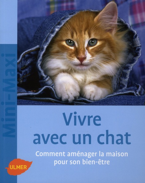 Vivre avec un chat. Comment aménager la maison pour son bien-être