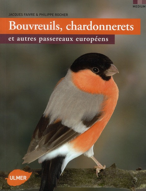 Bouvreuils, chardonnerets et autres passereaux européens