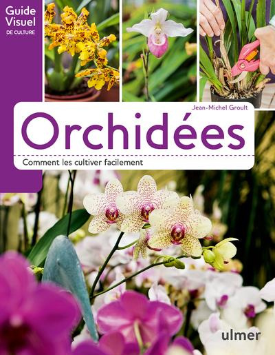 Orchidées. Comment les cultiver facilement