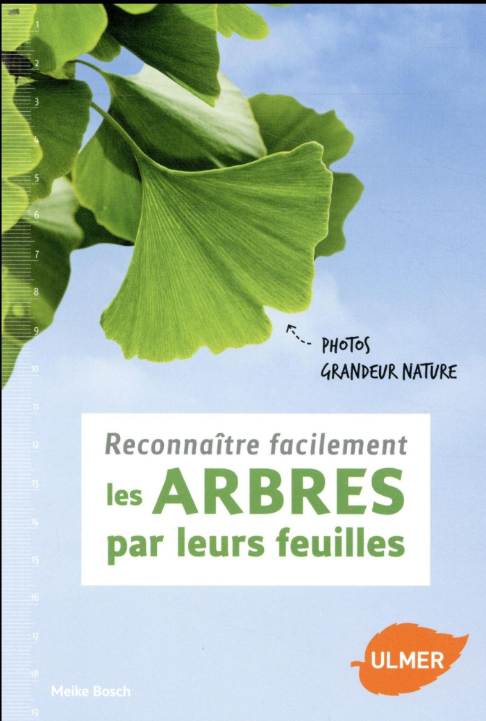 Reconnaître facilement les arbres par leurs feuilles
