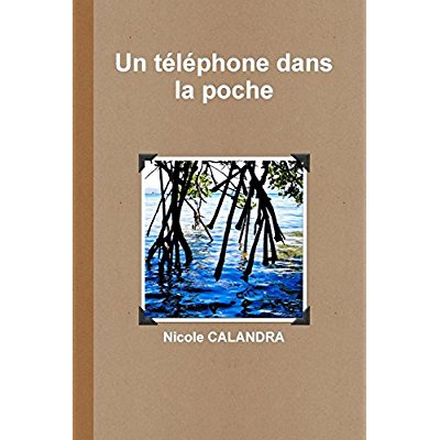 Un téléphone dans la poche