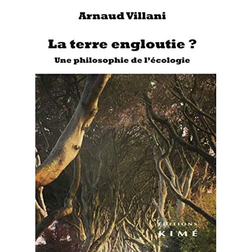 La terre engloutie ? Philosophie de l'écologie