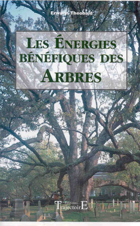Les énergies bénéfiques des arbres