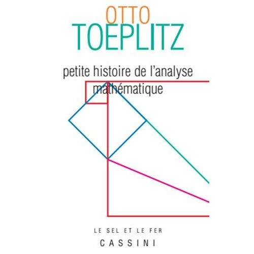 Petite histoire de l'analyse mathématique