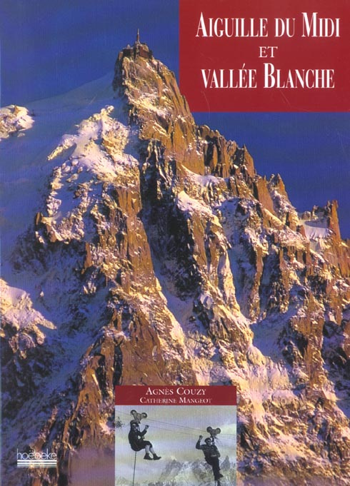 Aiguille du Midi et vallée Blanche