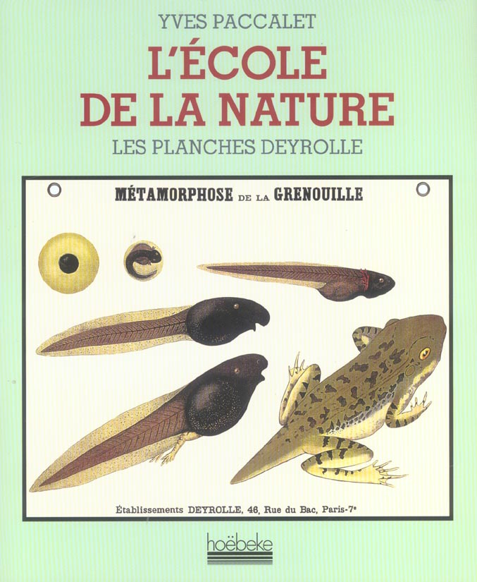 L'Ecole de la nature