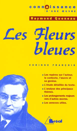 Les fleurs bleues, Raymond Queneau
