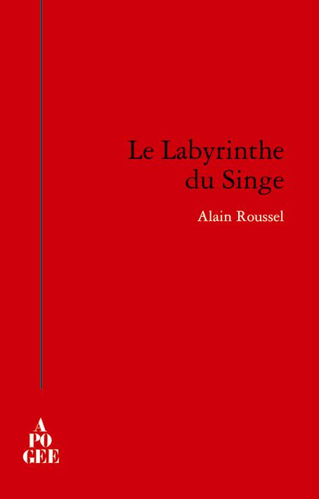 Le labyrinthe du singe