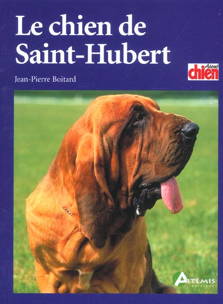 Le chien de Saint-Hubert