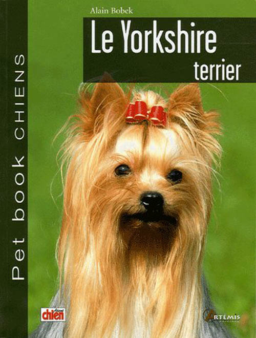 Le Yorkshire terrier