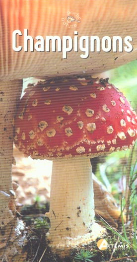 CHAMPIGNONS DE FRANCE
