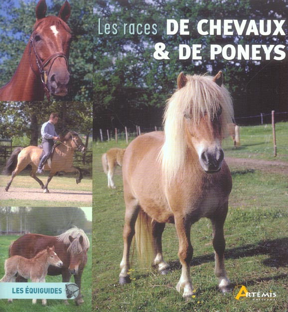 Les races de chevaux et de poneys