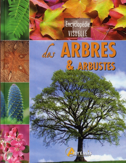 Les arbres et arbustes