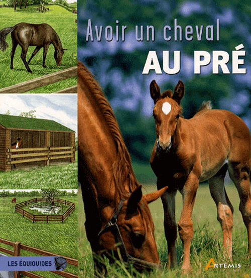 AVOIR UN CHEVAL AU PRE