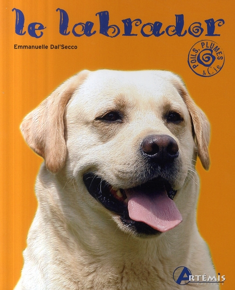 LABRADOR