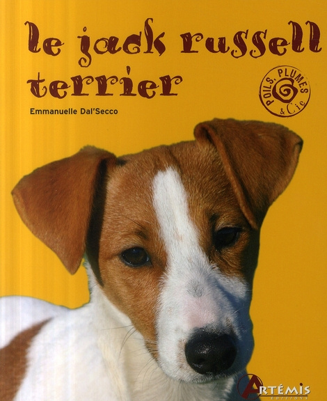 JACK RUSSELL TERRIER