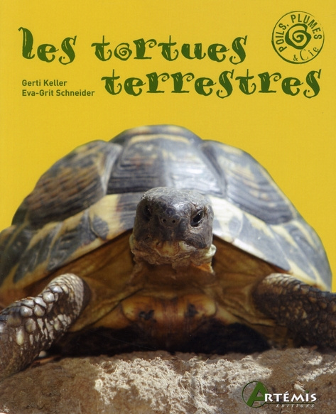 TORTUES TERRESTRES (LES)