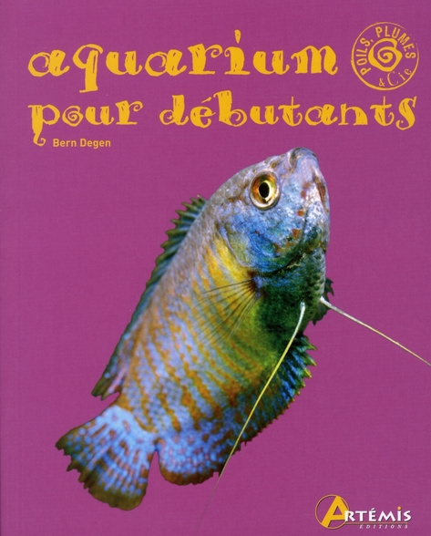 Aquarium pour débutants
