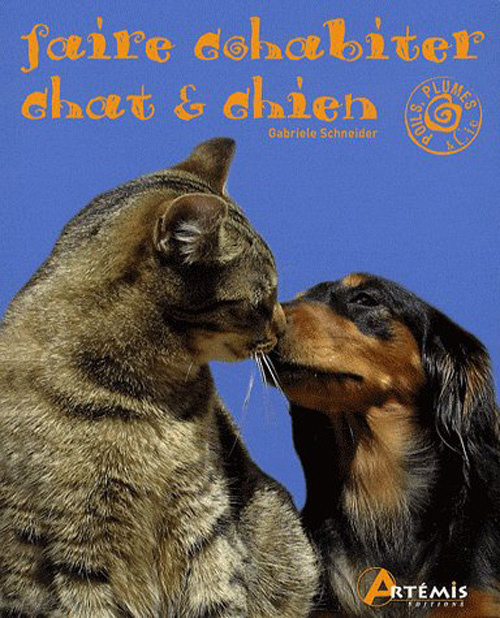 FAIRE COHABITER CHIEN ET CHAT