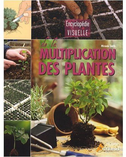 MULTIPLICATION DES PLANTES