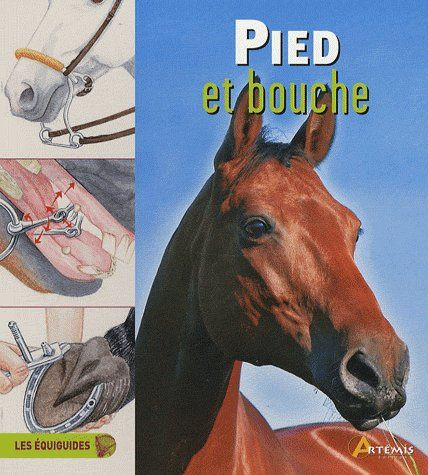 Pied et bouche