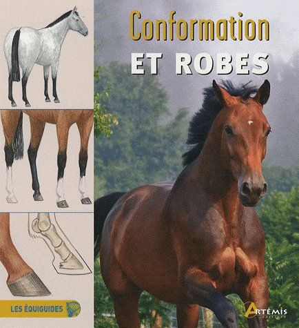 CONFORMATION ET ROBES