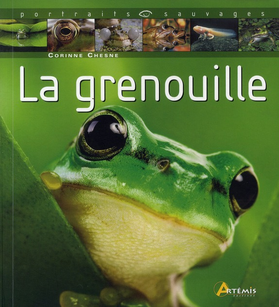 La grenouille